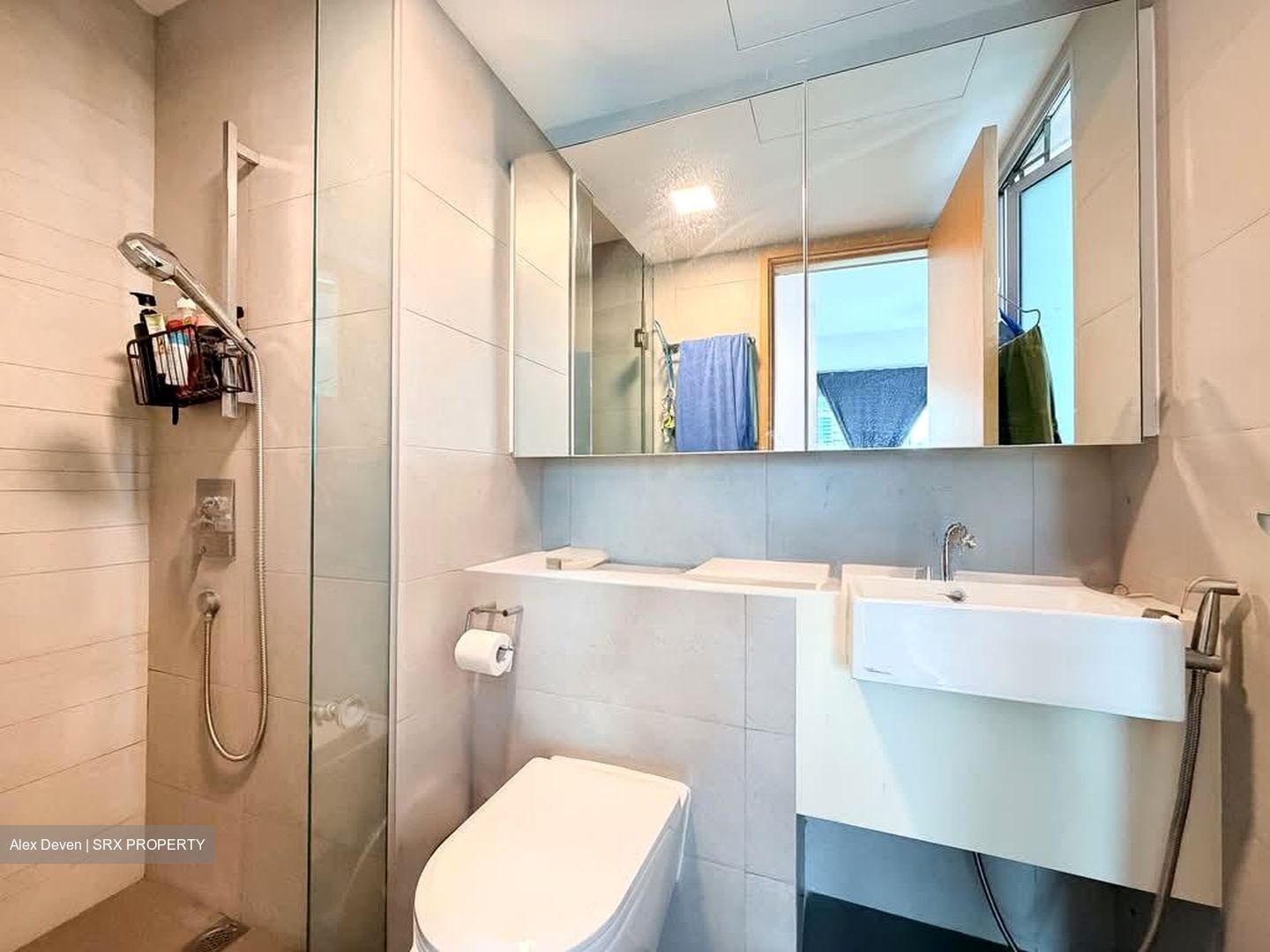 Eight Riversuites (D12), Condominium #566725461